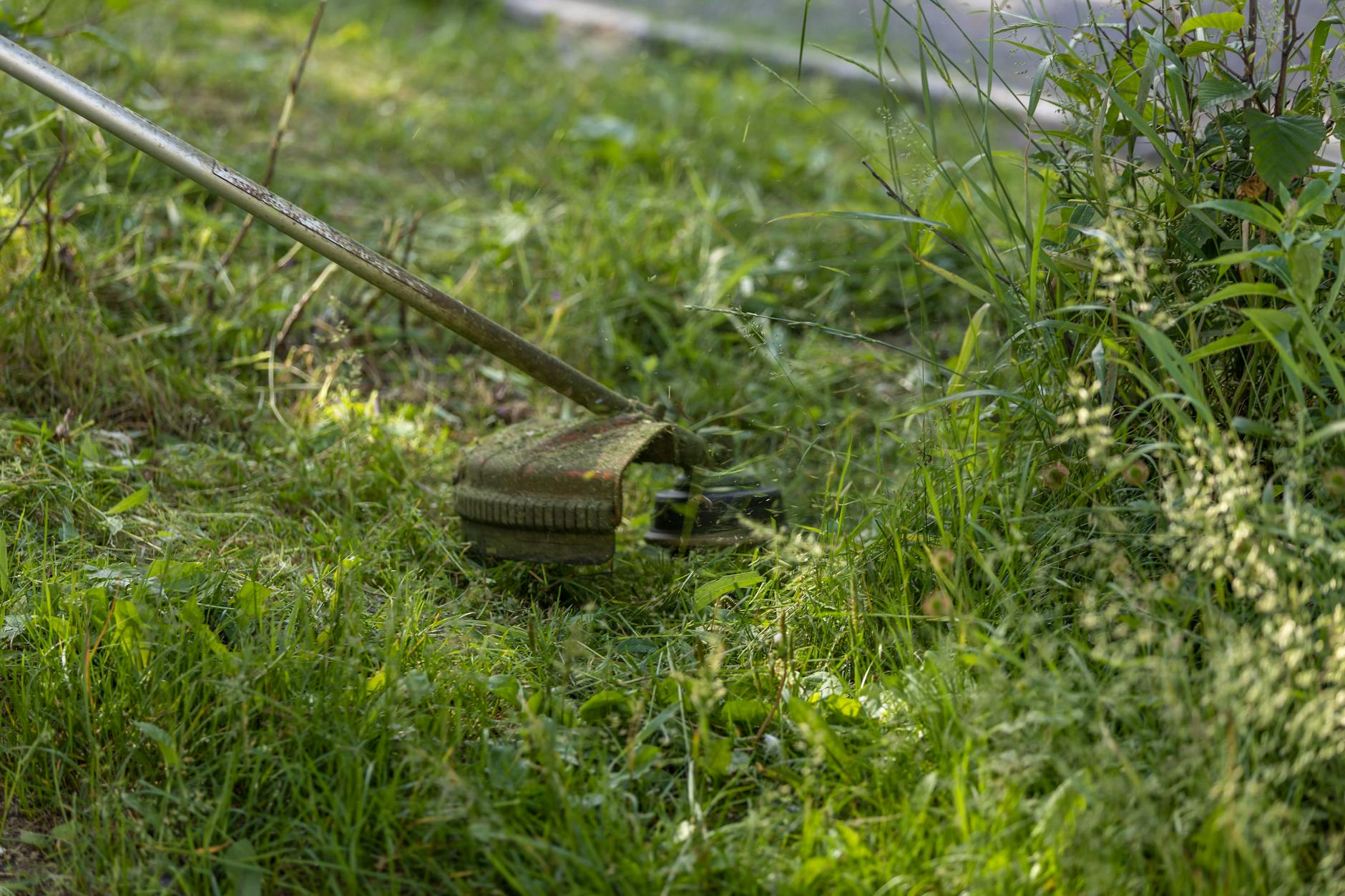 Gaźnik w kosie spalinowej: regulacja krok po kroku dla początkujących Kosa spalinowa przycina gęsty zielony trawnik w słoneczny dzień